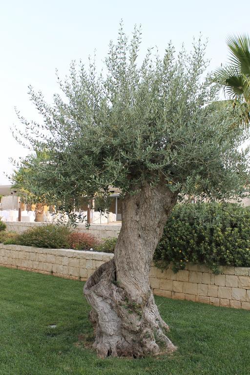 Pietre Nere Resort&spa Hotel Modica